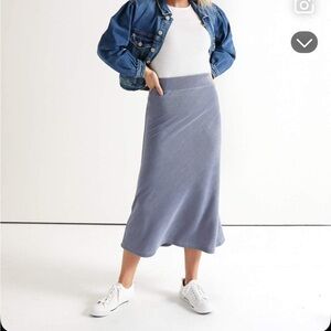 DownEast Blue A-Line Skirt